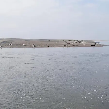 Les Marronniers 30 Apartmán