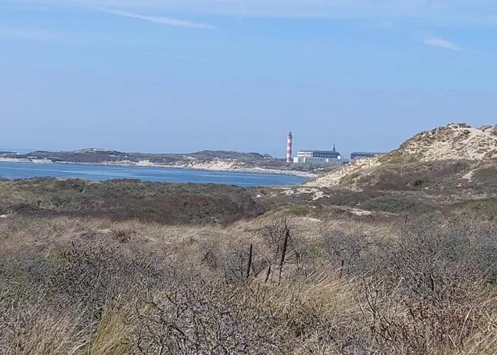 Les Marronniers 30 Appartement Berck